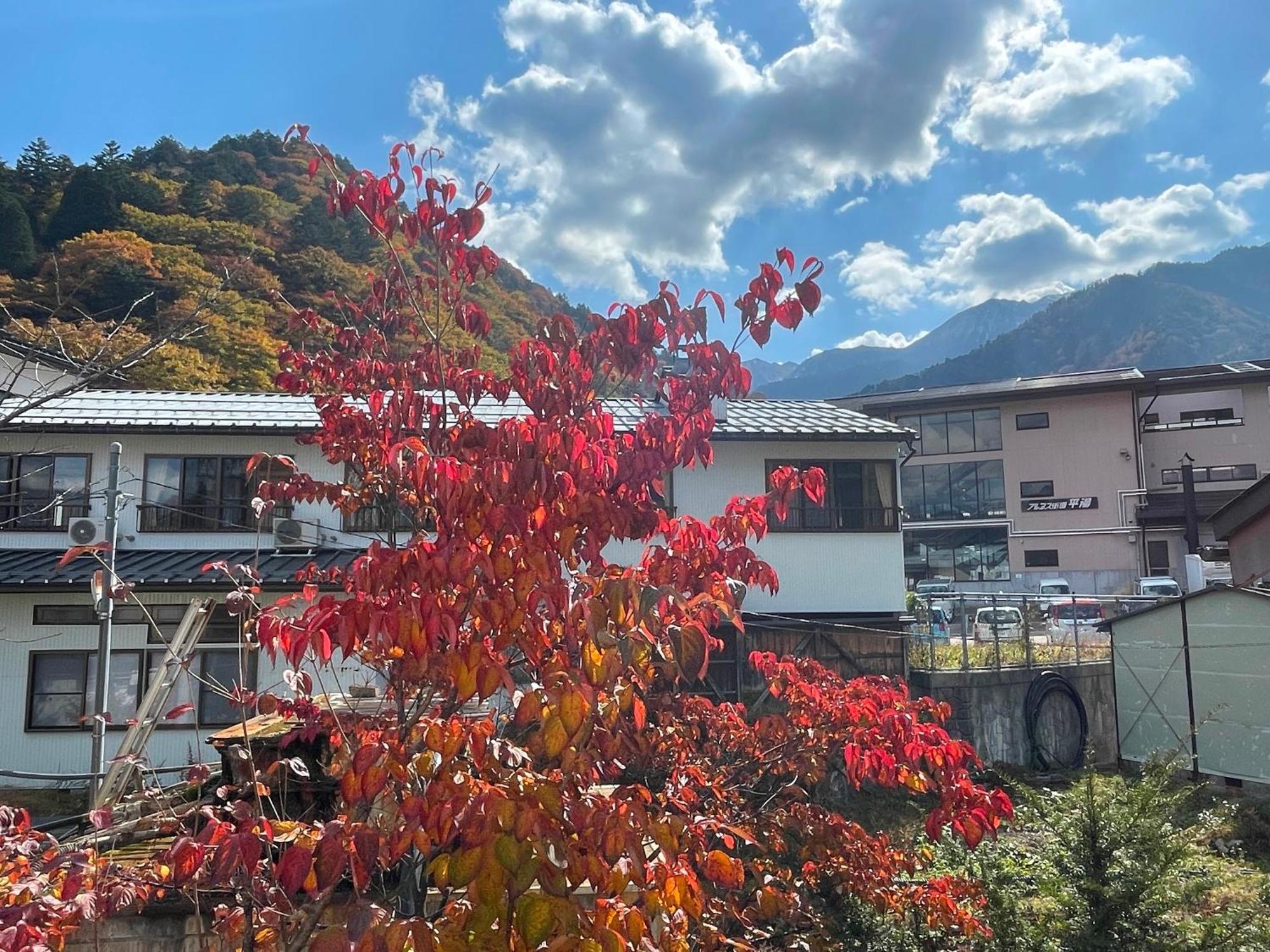 Tsuyukusa Takayama  Bagian luar foto